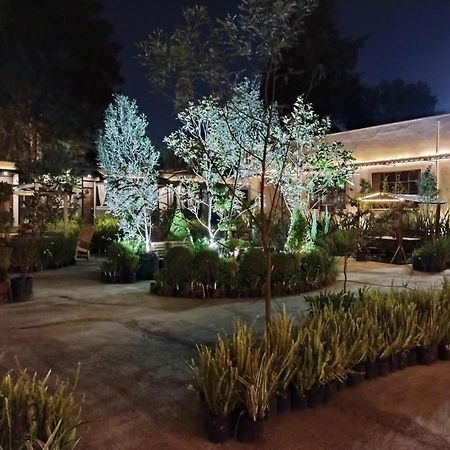 Utopia Hotel Boutique Mexico City Ngoại thất bức ảnh