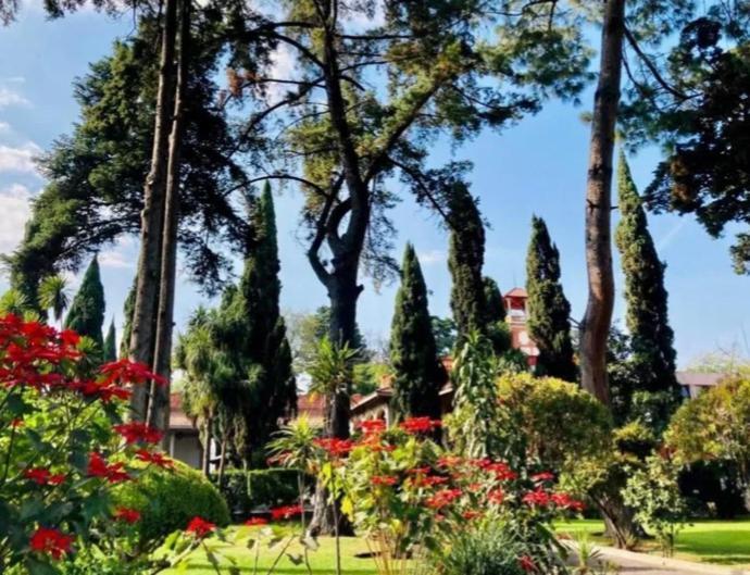 Utopia Hotel Boutique Mexico City Ngoại thất bức ảnh