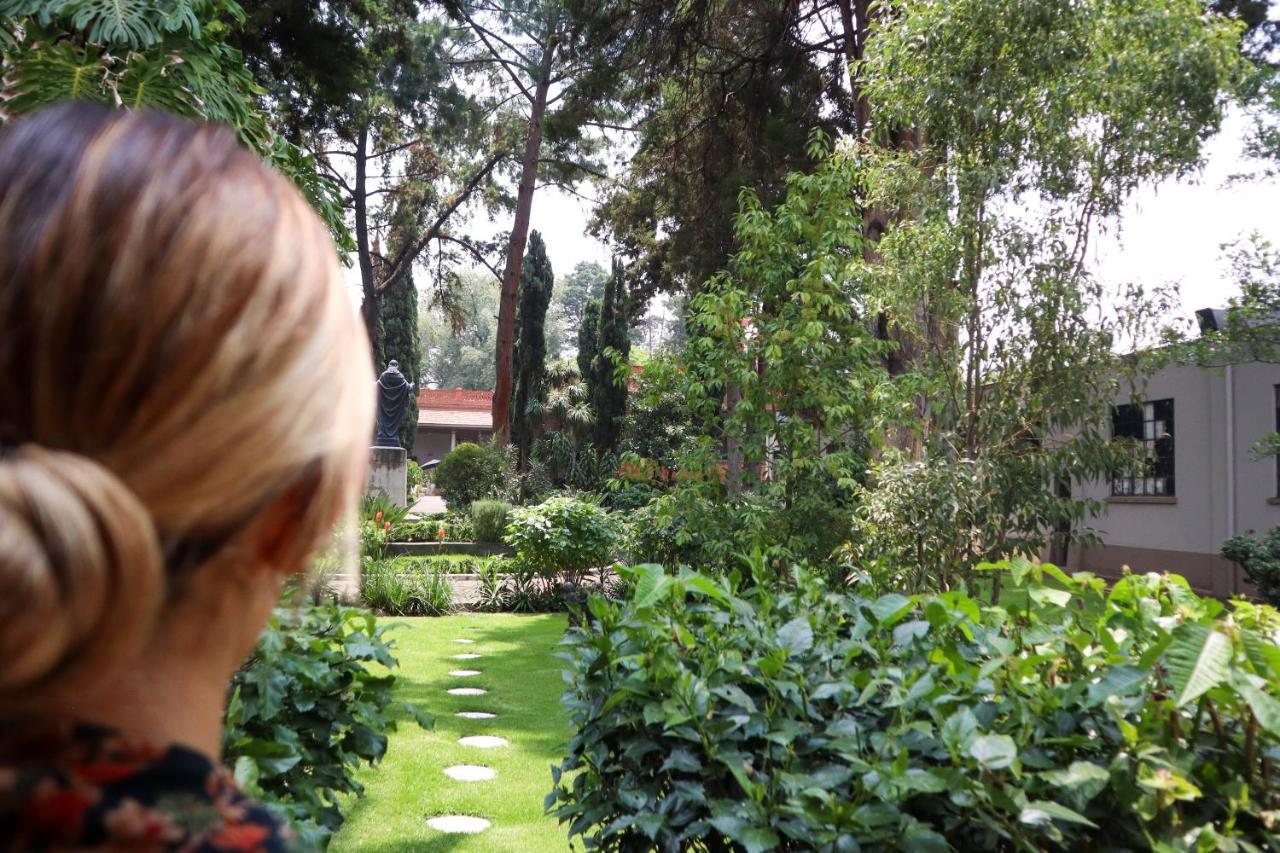 Utopia Hotel Boutique Mexico City Ngoại thất bức ảnh