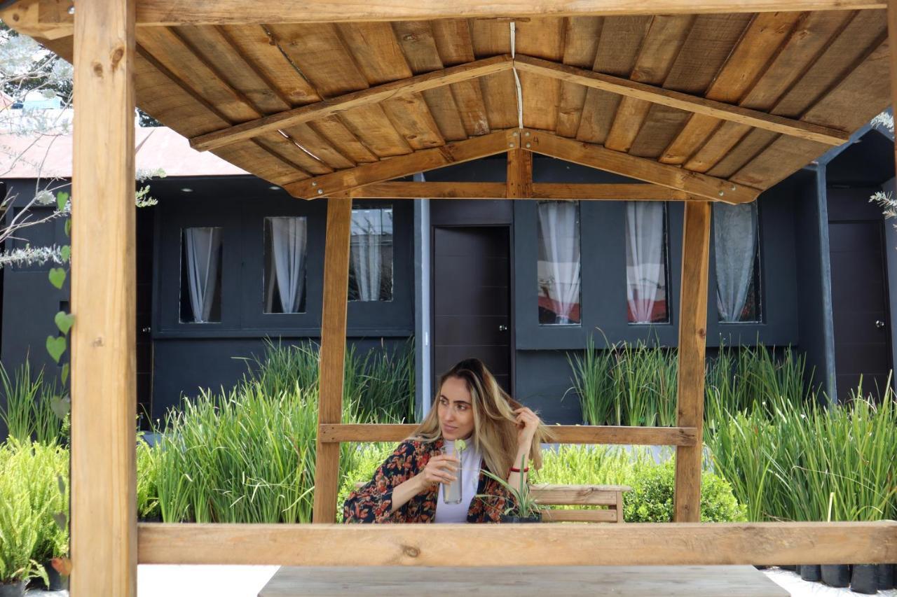 Utopia Hotel Boutique Mexico City Ngoại thất bức ảnh