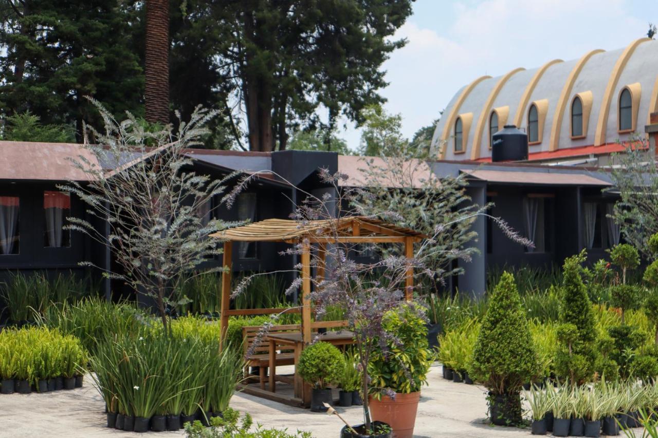 Utopia Hotel Boutique Mexico City Ngoại thất bức ảnh