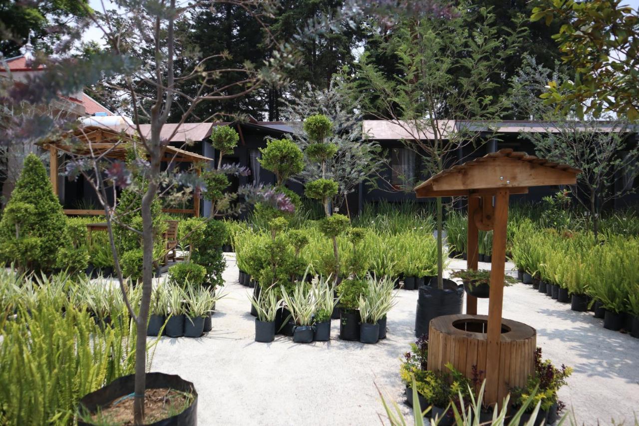 Utopia Hotel Boutique Mexico City Ngoại thất bức ảnh