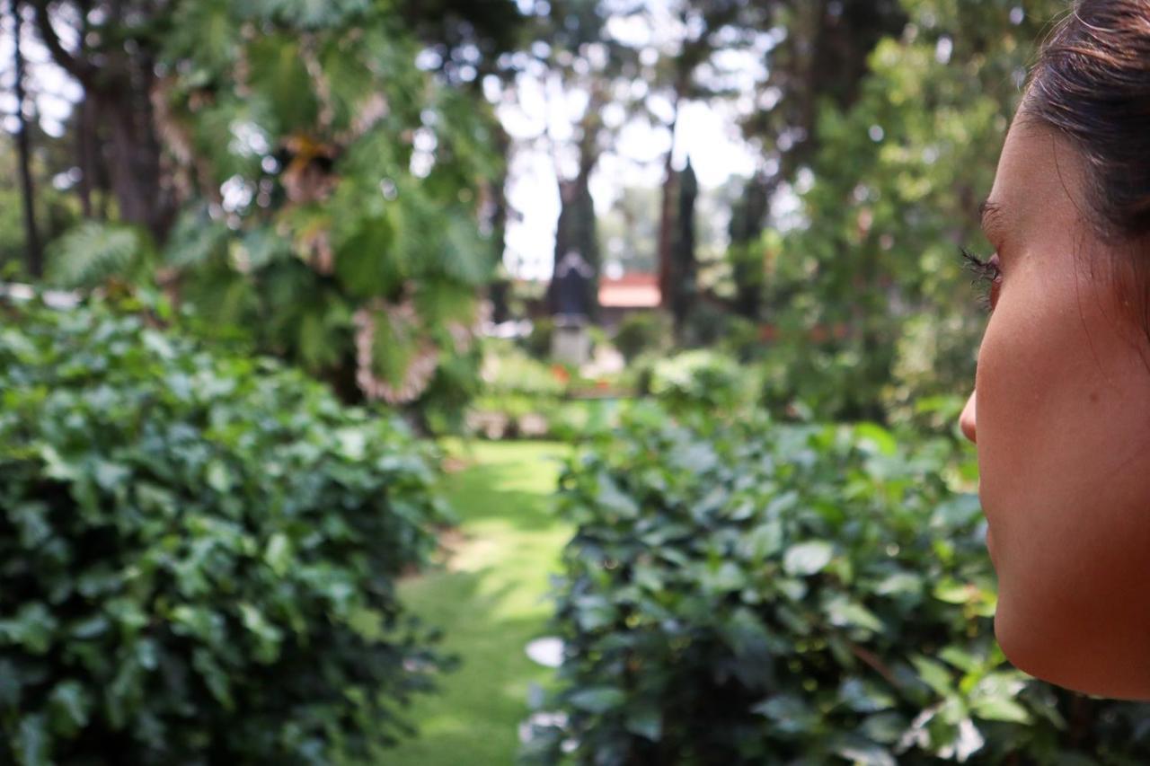 Utopia Hotel Boutique Mexico City Ngoại thất bức ảnh