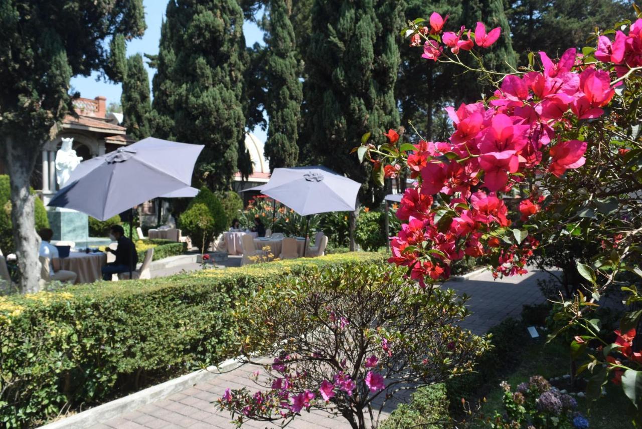 Utopia Hotel Boutique Mexico City Ngoại thất bức ảnh