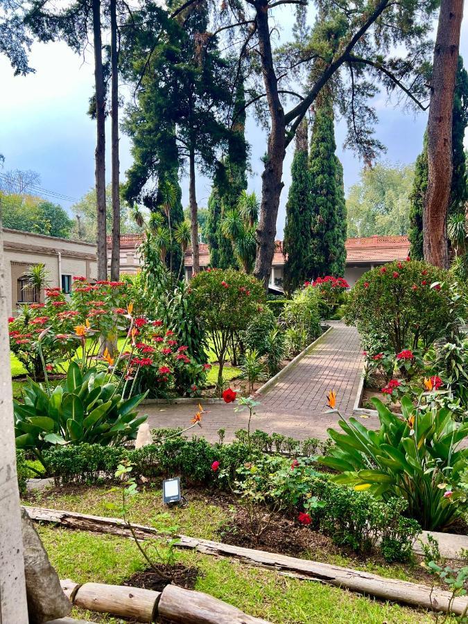 Utopia Hotel Boutique Mexico City Ngoại thất bức ảnh