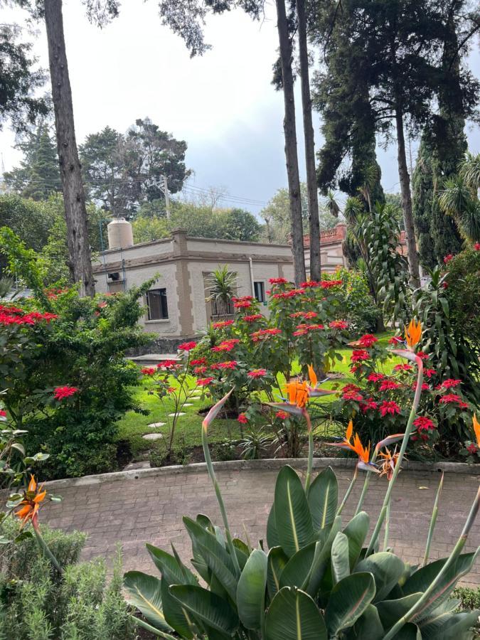 Utopia Hotel Boutique Mexico City Ngoại thất bức ảnh