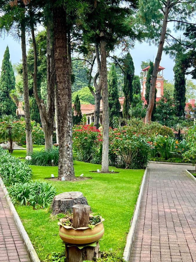 Utopia Hotel Boutique Mexico City Ngoại thất bức ảnh