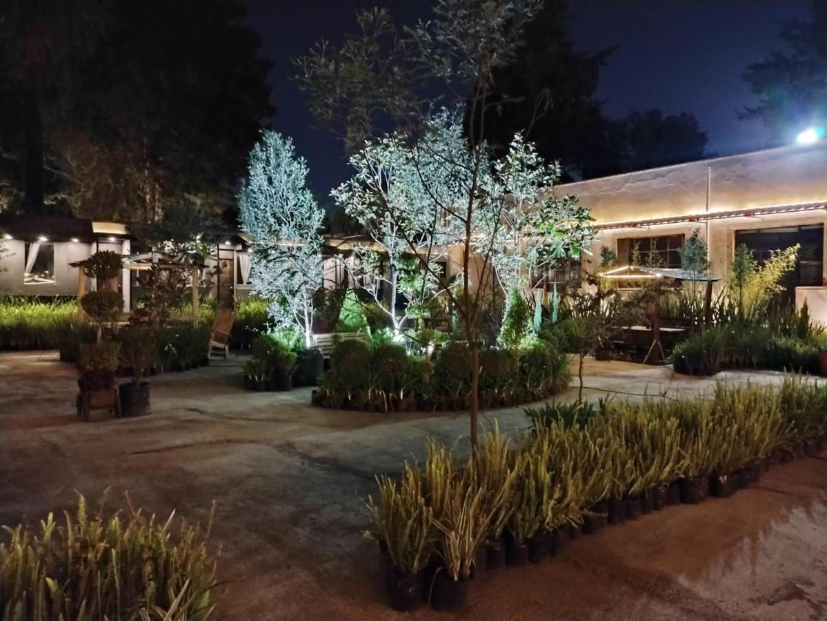 Utopia Hotel Boutique Mexico City Ngoại thất bức ảnh